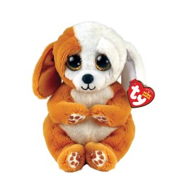 Pliš BBoos RUGGLES - smeđe bijeli pas, reg